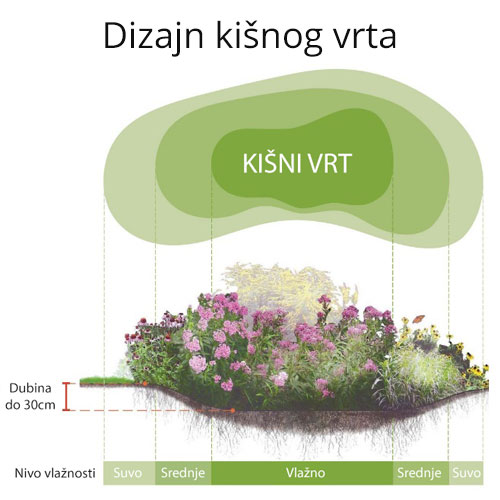 Kišni vrt dendrolog