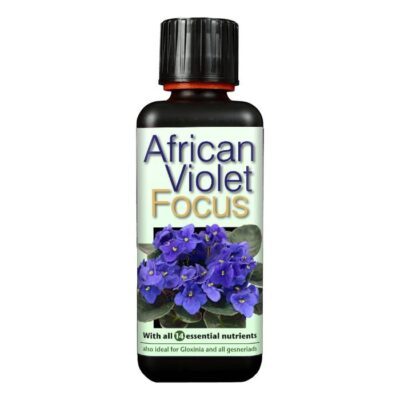 African Violet Focus 300ml Dendrolog