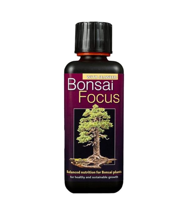 Bonsai Focus 300ml Dendrolog