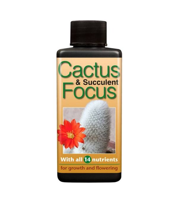 Cactus Focus 100ml Dendrolog