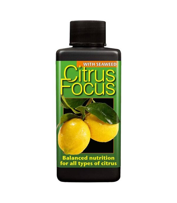 Citrus Focus 100ml Dendrolog