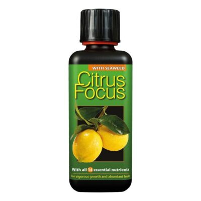 Citrus Focus 300ml Dendrolog