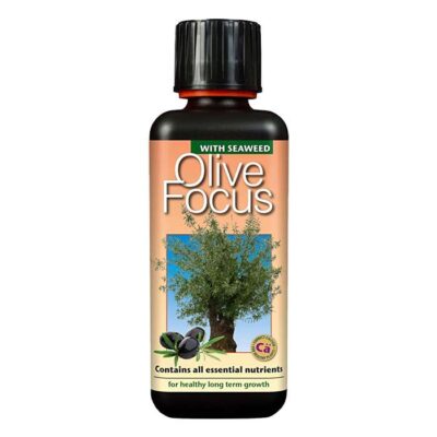 Olive Focus 300ml Dendrolog
