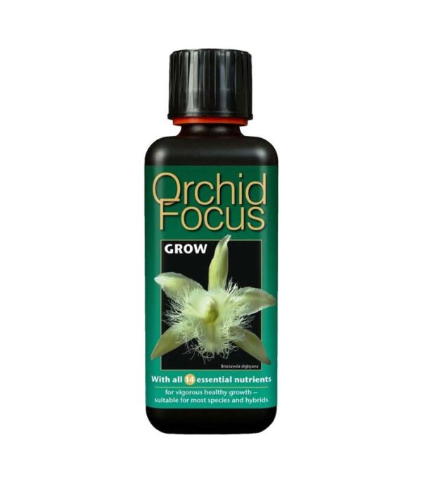 Orchid Focus Grow 300ml Dendrolog