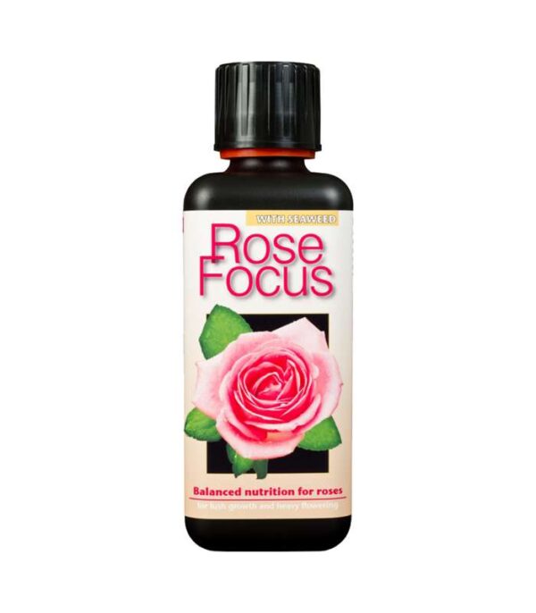 Rose Focus 300ml Dendrolog