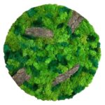 Mahovina krug 20cm sa korom Dendrolog