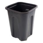 Saksija 12x12cm Dendrolog