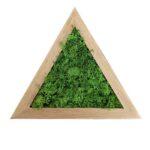 Mahovina slika trougao 20cm Dendrolog