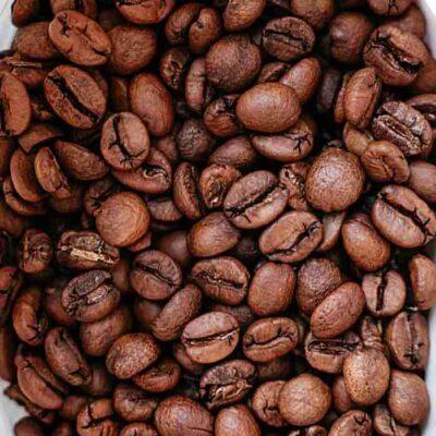 Coffea arabica 25cm kafa Dodatna Dendrolog