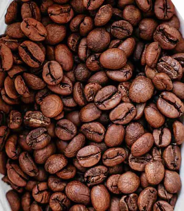 Coffea arabica 25cm kafa Dodatna Dendrolog