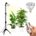 Sansi 40W Tripod lampa Denrolog
