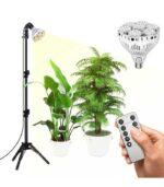 Sansi 40W Tripod lampa Denrolog