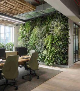 5 koraka za savršeni izbor biljaka za poslovni prostor Dendrolog